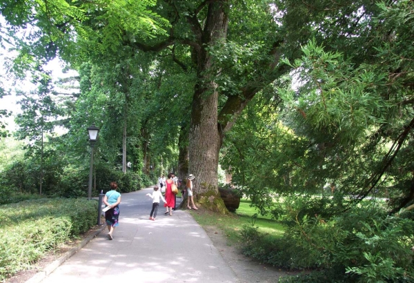 Zdjęcie z Niemiec - arboretum