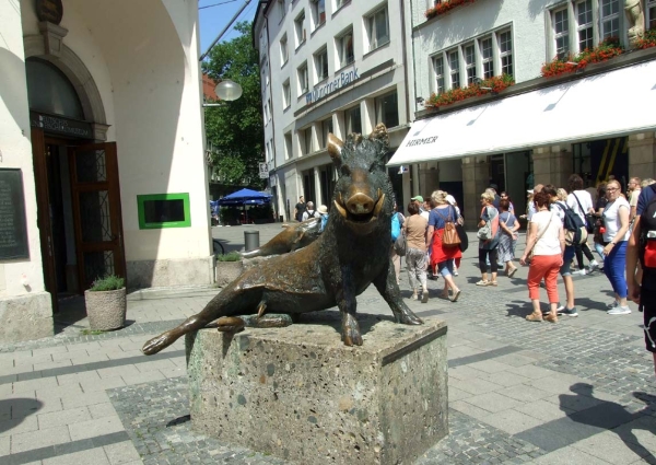 Zdjęcie z Niemiec - dzik