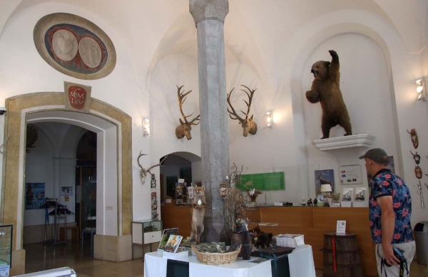 Zdjęcie z Niemiec - muzeum łowieckie