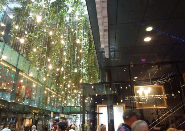 Zdjęcie z Niemiec - jakaś zielona galeria