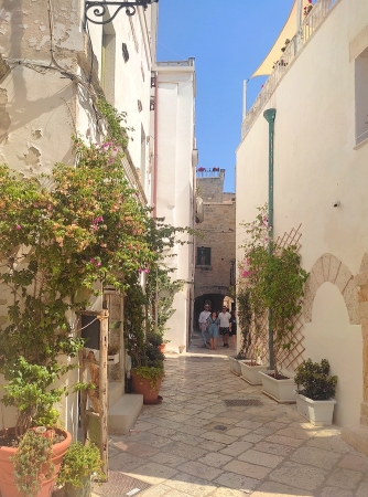 Zdjęcie z Włoch - Polignano a Mare