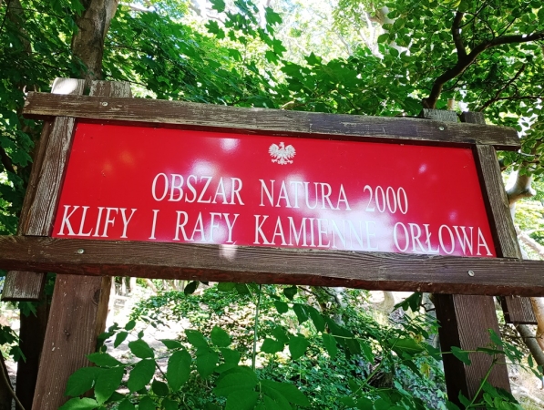 Zdjęcie z Polski - ... 