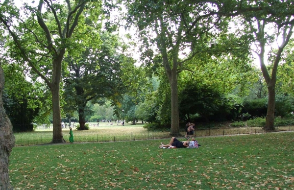 Zdjęcie z Wielkiej Brytanii - królewski park