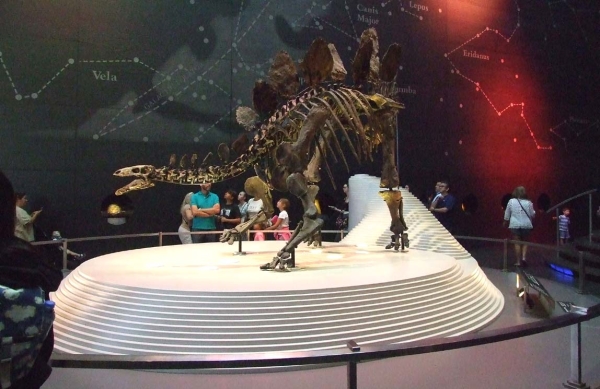 Zdjęcie z Wielkiej Brytanii - Dino