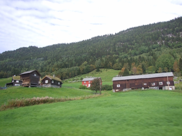 Zdjęcie z Norwegii - 