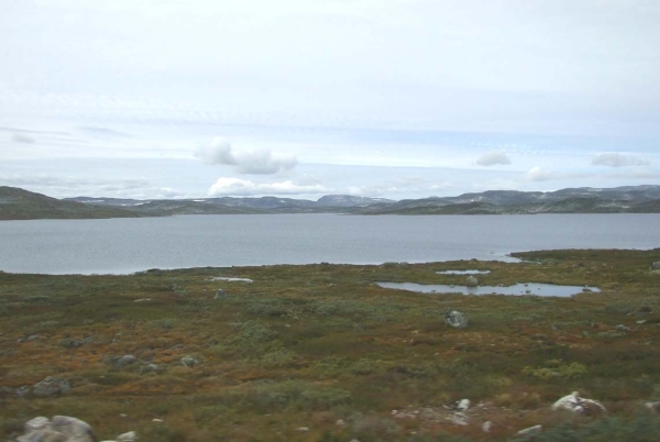 Zdjęcie z Norwegii - 