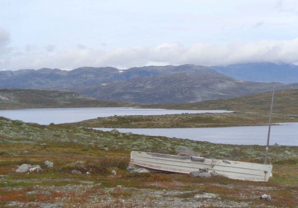 Zdjęcie z Norwegii - 