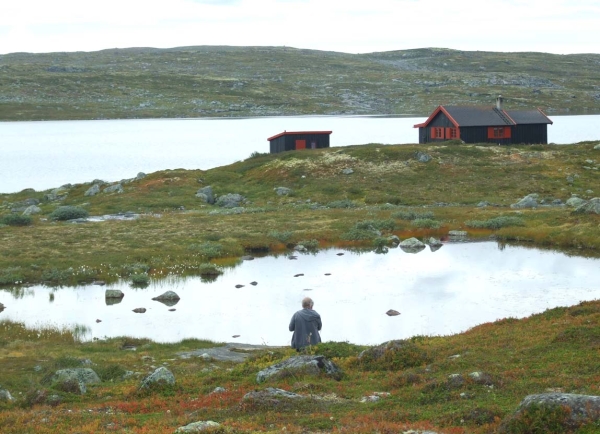 Zdjęcie z Norwegii - 