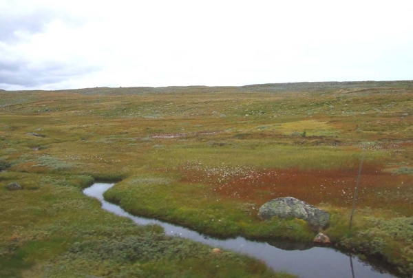 Zdjęcie z Norwegii - 