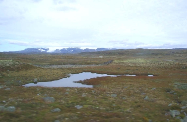 Zdjęcie z Norwegii - 