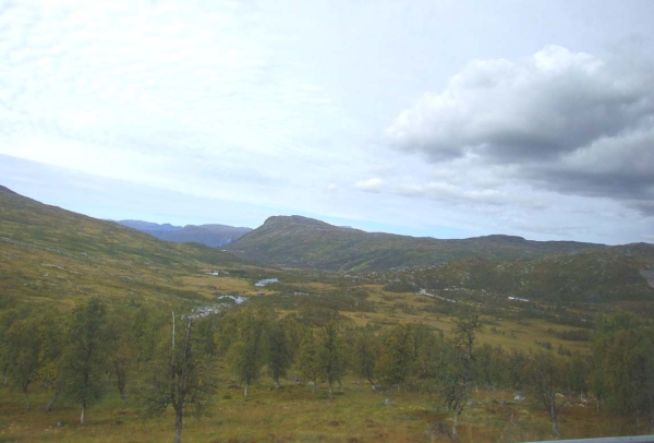 Zdjęcie z Norwegii - z autokaru