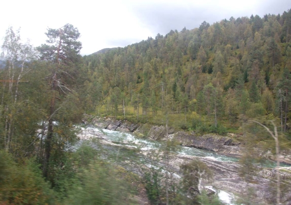 Zdjęcie z Norwegii - 