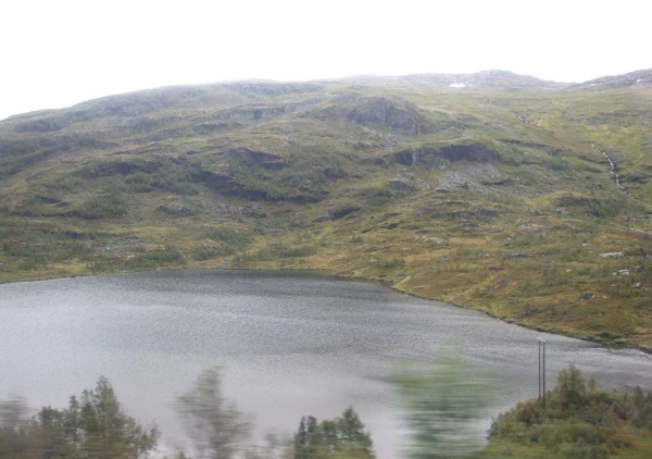 Zdjęcie z Norwegii - 