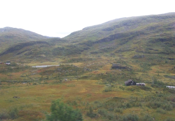 Zdjęcie z Norwegii - 