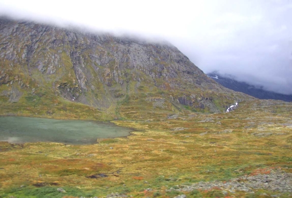 Zdjęcie z Norwegii - 