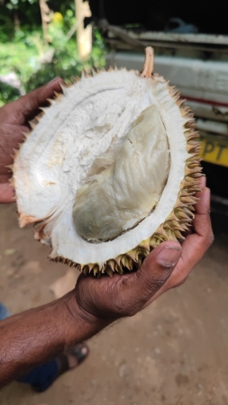 Zdjęcie ze Sri Lanki - 
