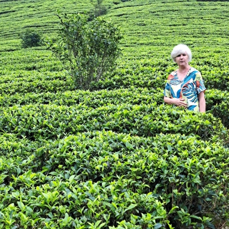 Zdjęcie ze Sri Lanki - 