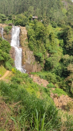 Zdjęcie ze Sri Lanki - 