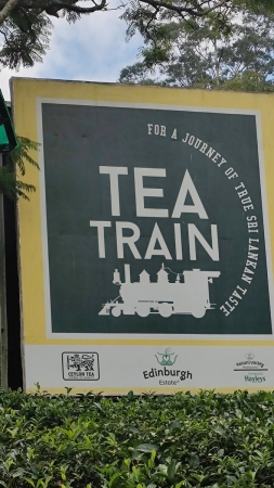 Zdjęcie ze Sri Lanki - 