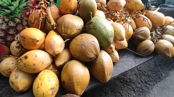 Zdjęcie ze Sri Lanki - 