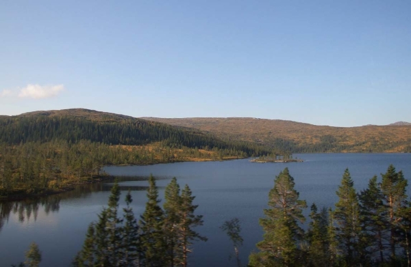 Zdjęcie z Norwegii - 