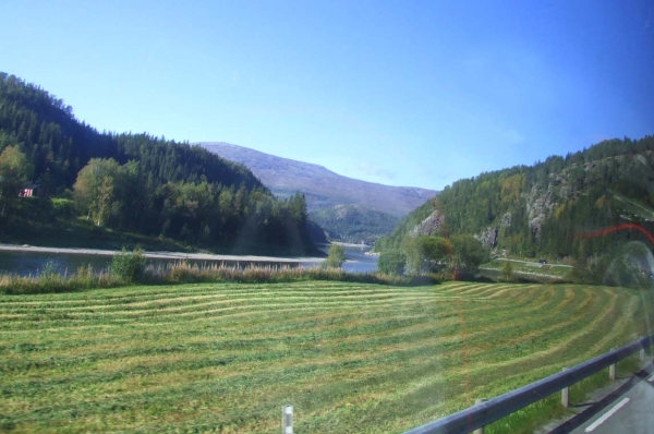 Zdjęcie z Norwegii - 