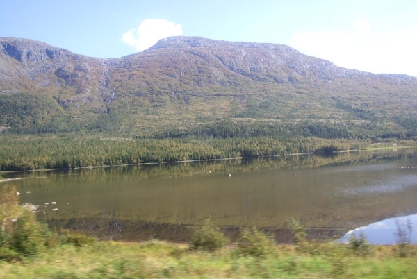 Zdjęcie z Norwegii - 