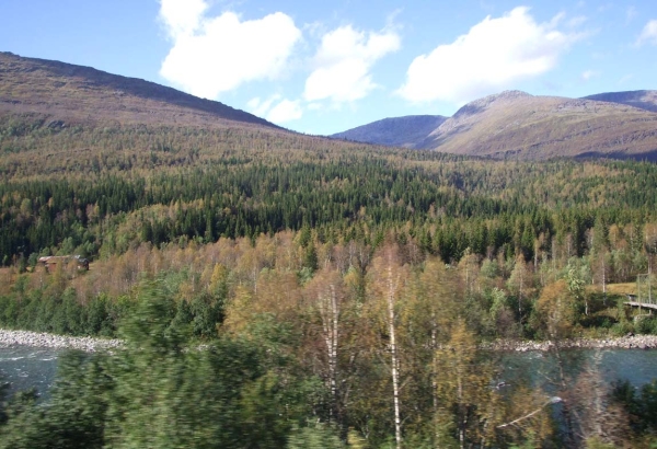 Zdjęcie z Norwegii - 