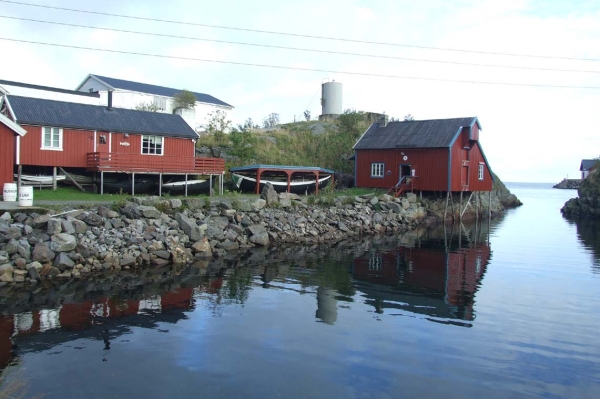Zdjęcie z Norwegii - 
