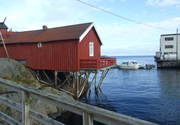 Zdjęcie z Norwegii - 