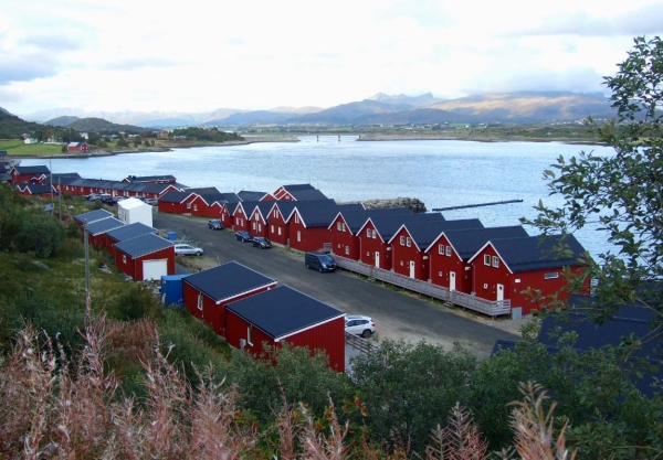 Zdjęcie z Norwegii - 