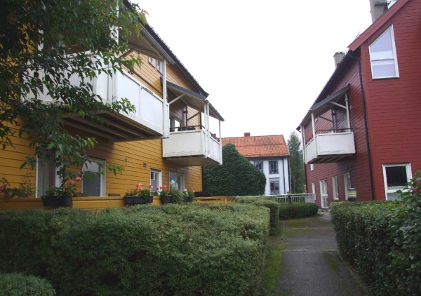 Zdjęcie z Norwegii - 