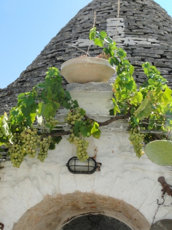 Zdjęcie z Włoch - Alberobello