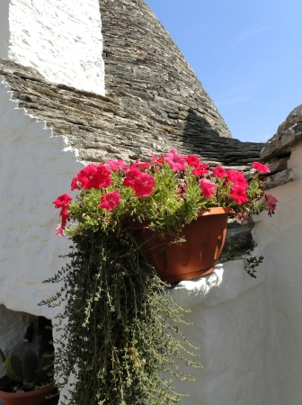 Zdjęcie z Włoch - Alberobello