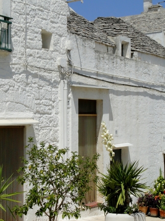 Zdjęcie z Włoch - Alberobello