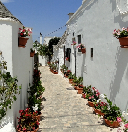 Zdjęcie z Włoch - Alberobello