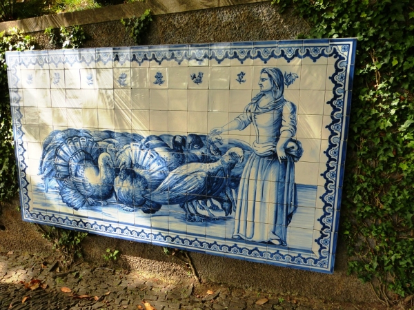 Zdjęcie z Portugalii - 