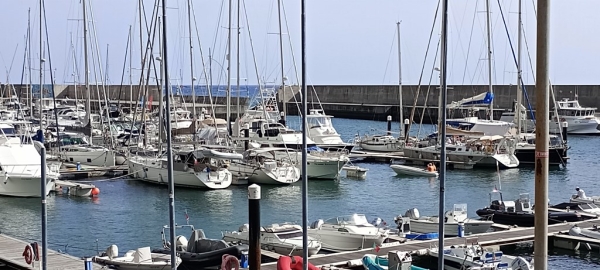 Zdjęcie z Portugalii - w Calheta