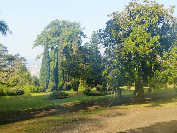 Zdjęcie z Portugalii - posiadłość jest ogromna; zajmuje powierzchnię 15 ha! a park i ogród są