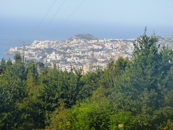 Zdjęcie z Portugalii - z parku roztaczaja się fenomenalne widoki na Funchal