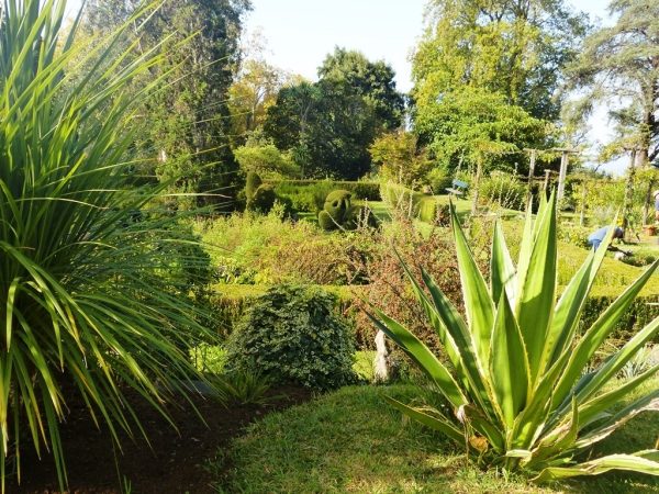 Zdjęcie z Portugalii - Palheiro Gardens nazywane są zamiennie Blandys Gardens