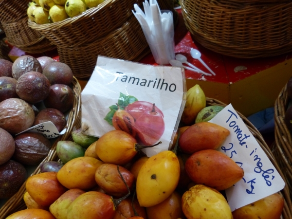 Zdjęcie z Portugalii - 