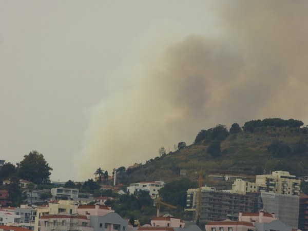 Zdjęcie z Portugalii - 