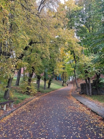 Zdjęcie z Polski - Frombork