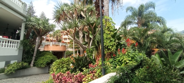 Zdjęcie z Portugalii - na terenie Pestana Miramar Garden Resort