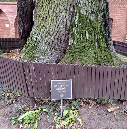 Zdjęcie z Polski - Frombork