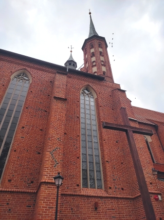 Zdjęcie z Polski - Frombork