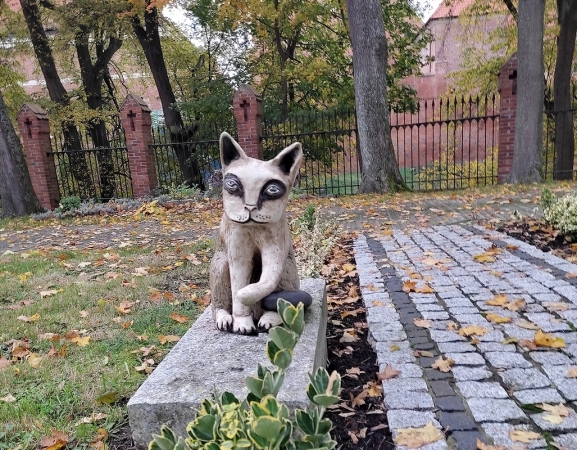Zdjęcie z Polski - Frombork