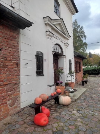 Zdjęcie z Polski - Frombork