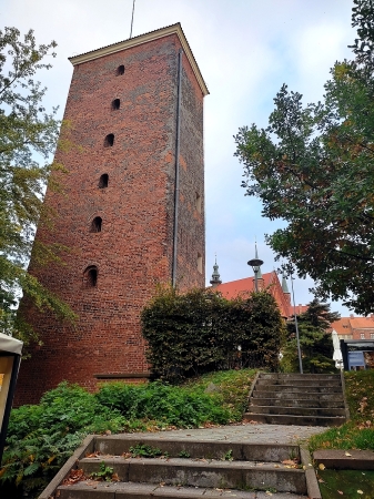 Zdjęcie z Polski - Frombork